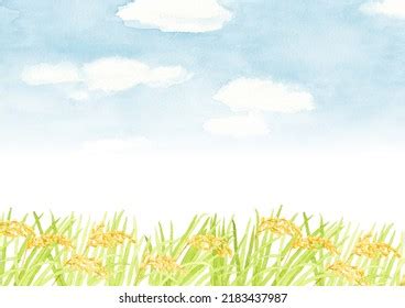 Rice Field Landscape Watercolor Painting On Stock Illustration ...