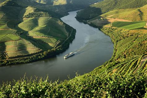 Viaggi di Andrea