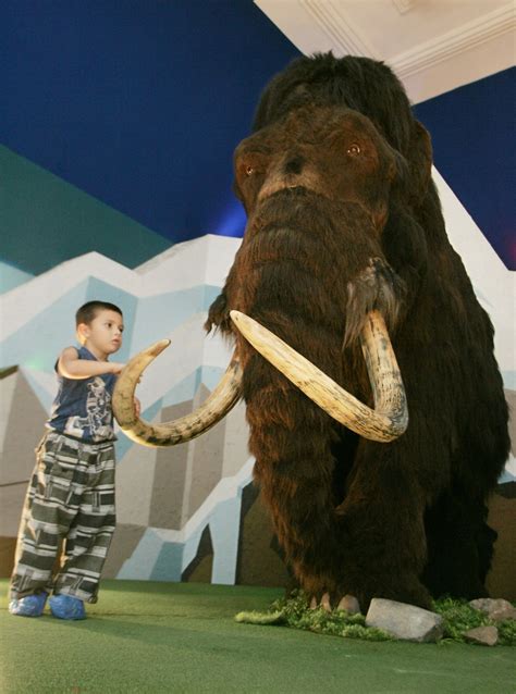 Scientists Plan to Clone Woolly Mammoth | IBTimes UK