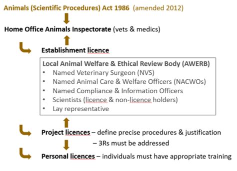 Laboratory Animal Welfare Flashcards | Quizlet