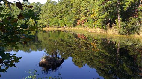 Cape Fear River Trail, Fayetteville, NC | River trail, America city, Natural landmarks