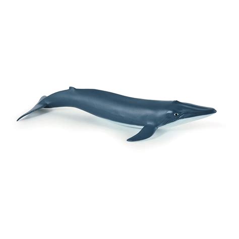 PAPO | Marine Life Blue Whale Calf Toy Figure | Multi | SportsDirect.com