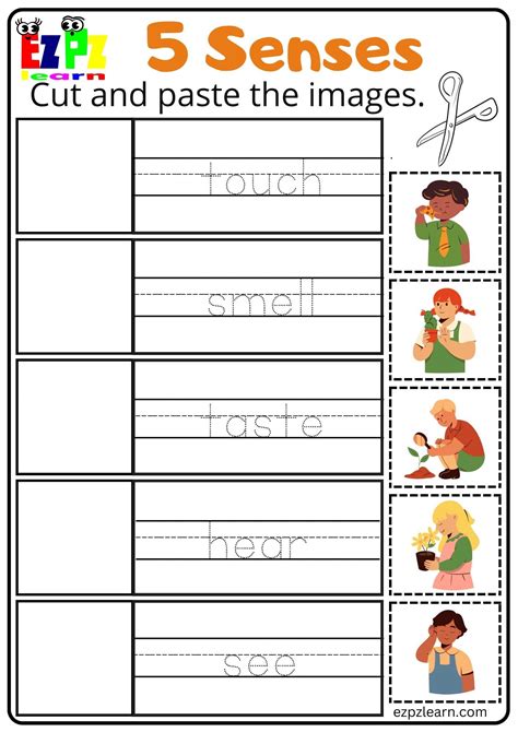 Five Senses Cut and Paste Worksheet for Kindergarten and ESL Students ...