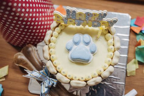 Dog Bone Birthday Cake