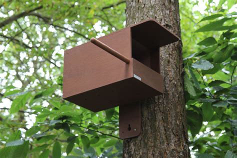 Kestrel Nest Box