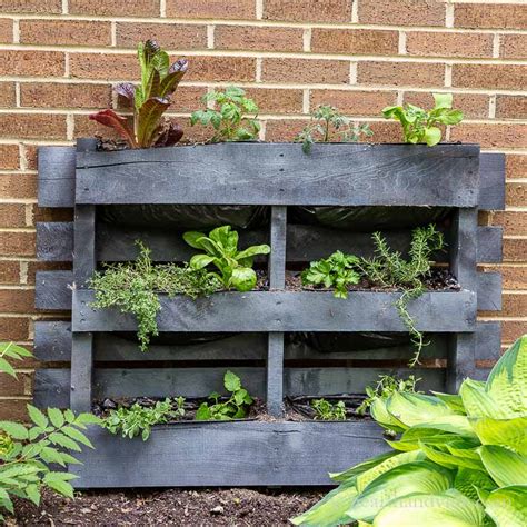 DIY Pallet Garden - Easy Vertical Gardening | Hearth and Vine