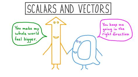 Vector And Scalar Homework 1