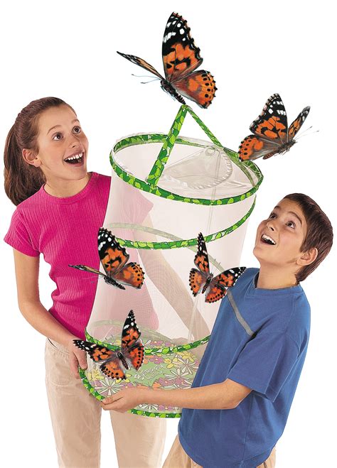 Classroom Butterfly Set for Schools and Nurseries, Large Butterfly Set