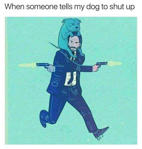21 Doggo Memes And Pics That'll Get Your Tail Wagging Really Funny Memes, Funny Jokes, Hilarious ...