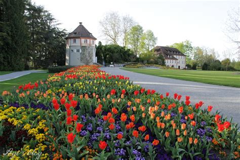 The island of flowers: Mainau Insel | Agnes Domany Photography