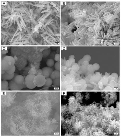 Biosensors | Free Full-Text | Multifunctional Smart ZnSe-Nanostructure ...