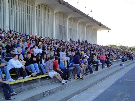 Albany Great Danes | University Field - Football Championship Subdivision