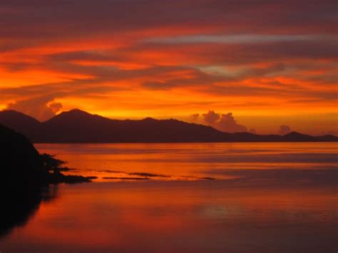 the sunset of paradise palawan philippines | Sunset, Palawan, Planet earth