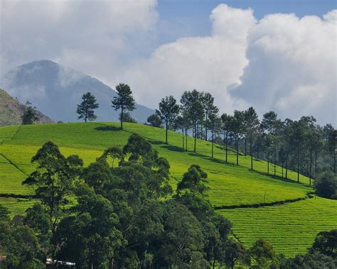 THE BEST Wayanad District Farms (Updated 2024) - Tripadvisor