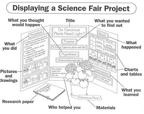 Science Fair Project Parts