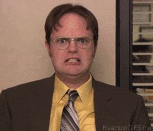 office-dwight-mad.gif (300×257) | Dwight, Dwight schrute, The office