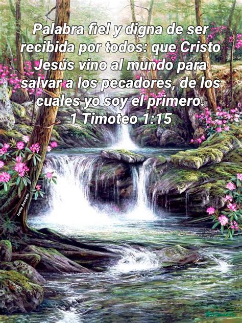 Jesús mi salvador | Frases cristianas, Palabra de dios biblia ...