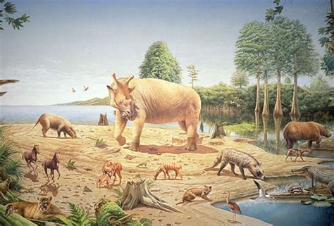 Cenozoic Era timeline | Timetoast timelines