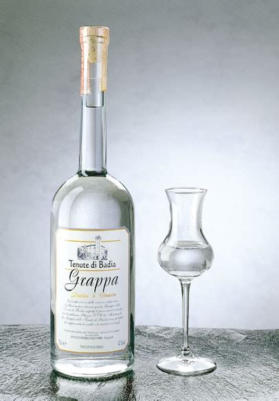 Grappa- The Italian Elixir : Brandy & Cognac : DrinkWire