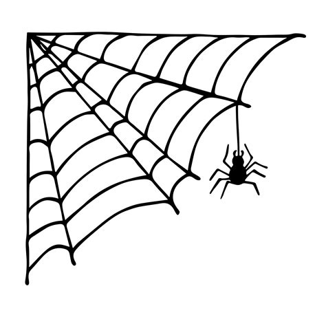 Simple hand drawn spider web illustration. Cute gossamer clipart ...