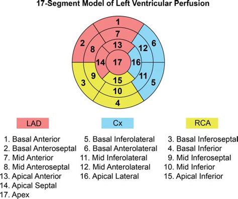 35 Diaphragmatic Attenuation Artifact | Radiology Key