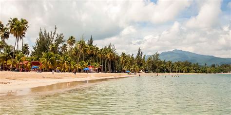 The BEST Luquillo Beach Small group activities 2023 - FREE Cancellation | GetYourGuide