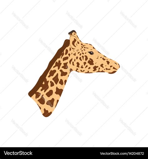 Giraffe head and neck Royalty Free Vector Image