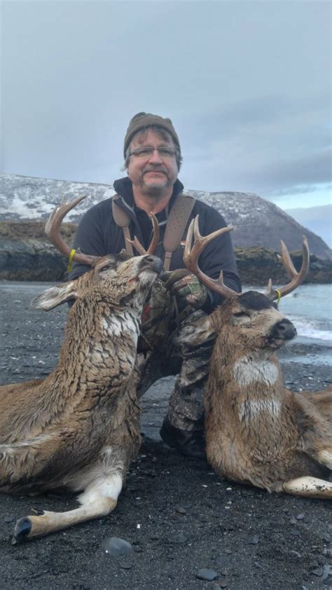 Sitka Blacktail Deer - Larsen Bay Lodge deer hunt sitka blacktail