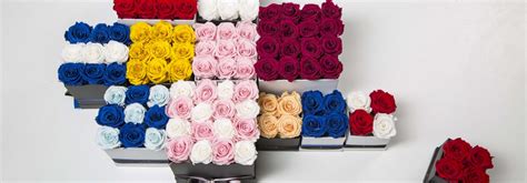 🌹 ¿Qué son las rosas eternas? - Roses to Love