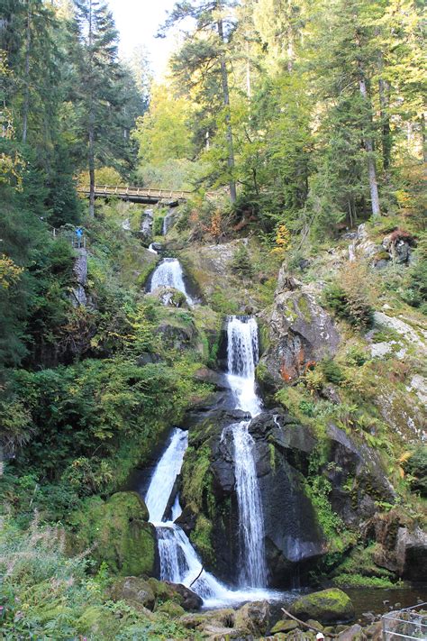 Triberger Wasserfall im Schwarzwald | Wasserfall schwarzwald, Triberger wasserfälle, Wasserfall