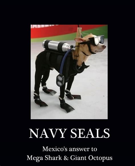 Mexican Navy Seal Chihuahua - img-tootles