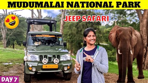 MUDUMALAI NATIONAL PARK | Tamil | Jeep Safari | Mudumalai Tiger Reserve ...