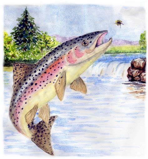 fishing trout that are awesome.. #fishingtrout | Fly fishing art, Trout ...