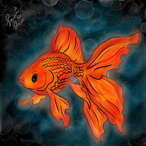 goldfish somishii_ - Illustrations ART street