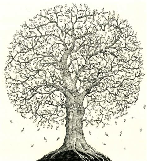 Family tree | Family tree drawing, Tree drawing, Family tree artwork