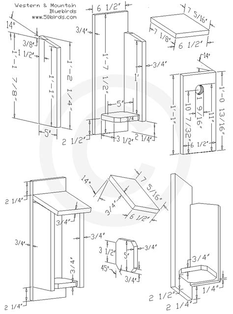 Western & Mountain Bluebird Nest Box Plans - 70birds