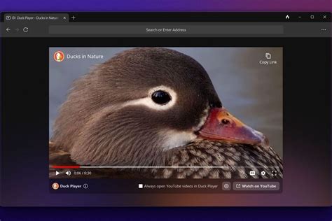 DuckDuckGo browser comes to Windows with a ton of privacy and security features