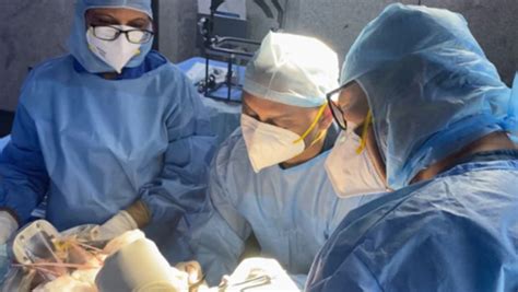 In World's First, US Doctors Perform Brain Surgery On Baby Still In Womb | Northeast Live