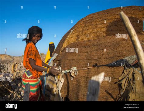 Afar tribe women building a hut, Afar region, Mile, Ethiopia Stock ...