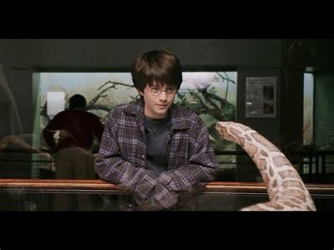 All Parseltongue Scenes in Harry Potter - YouTube