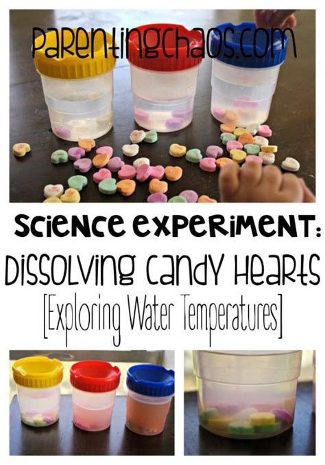 Dissolving Conversation Hearts Science Experiment