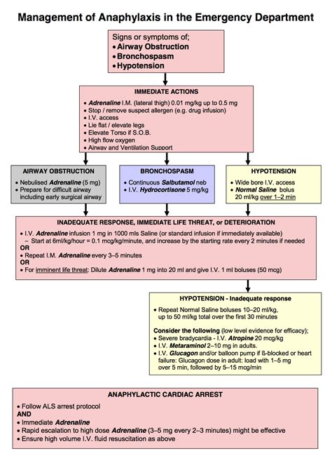 An Anaphylactic Shock Which of the Following Occurs