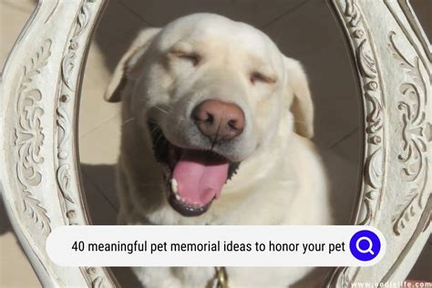 40 Meaningful Pet Memorial Ideas To Honor Your Pet - Oodle Life