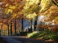 Macclesfield Forest, Cheshire. Walks, Photography Galley and Tourist Information.