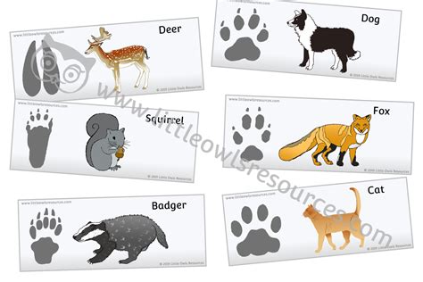 FREE Animal footprints in the snow printable Early Years/EY (EYFS) resource/download — Little ...