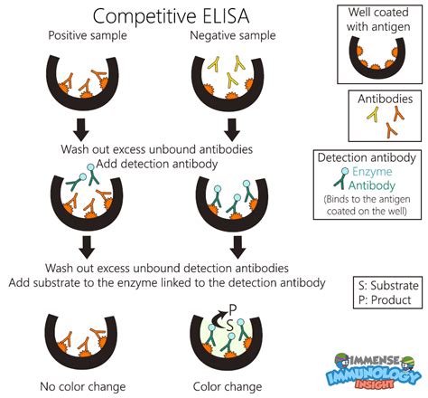 Immense Immunology Insight: Competitive ELISA