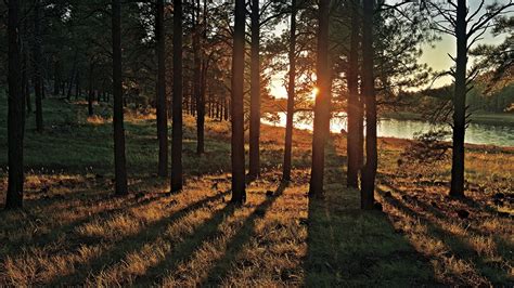 Kaibab Lake Campground | Arizona Highways