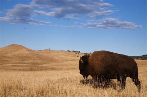 I'm from South Dakota, and I promise you the Great Plains are part of ...