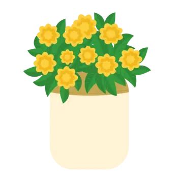 Marigold Flower Arrangement PNG Transparent Images Free Download | Vector Files | Pngtree