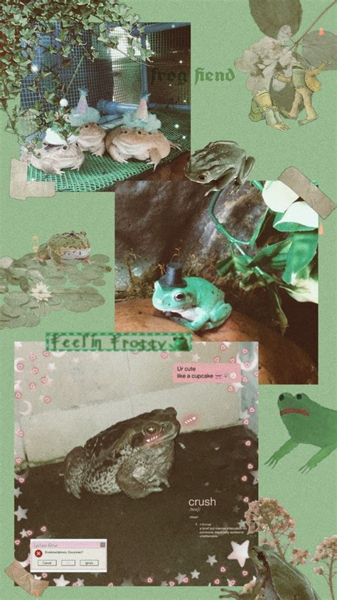 Cute Frog Aesthetic Wallpaper Desktop